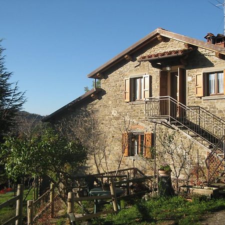 Apartmán Agriturismo Casa Pallino Pratovecchio Exteriér fotografie