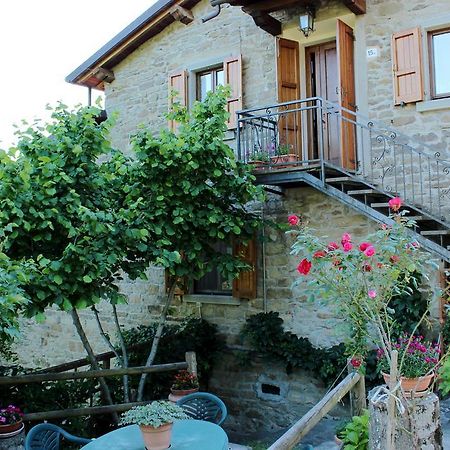 Apartmán Agriturismo Casa Pallino Pratovecchio Exteriér fotografie