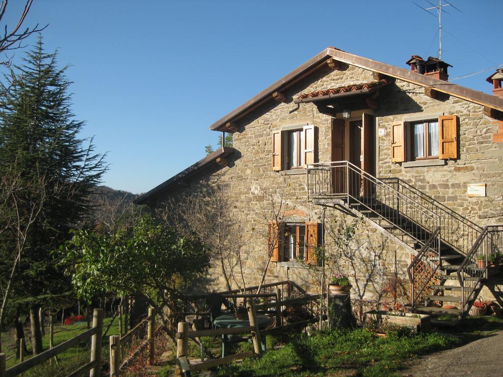 Apartmán Agriturismo Casa Pallino Pratovecchio Exteriér fotografie