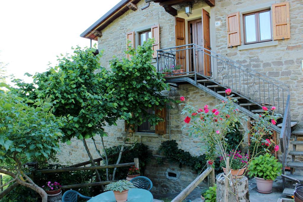 Apartmán Agriturismo Casa Pallino Pratovecchio Exteriér fotografie